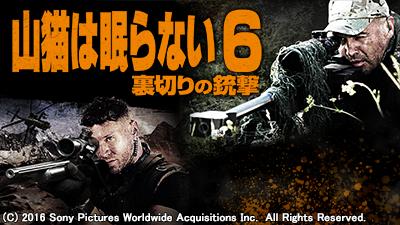 山猫は眠らない シリーズ7作品 一挙放送 テレビ放送スケジュール J Comテレビ番組ガイド 山猫は眠らない シリーズ7作品 一挙放送 テレビ放送スケジュール J Comテレビ番組ガイド