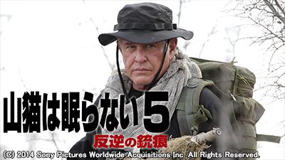 山猫は眠らない シリーズ7作品 一挙放送 テレビ放送スケジュール J Comテレビ番組ガイド 山猫は眠らない シリーズ7作品 一挙放送 テレビ放送スケジュール J Comテレビ番組ガイド